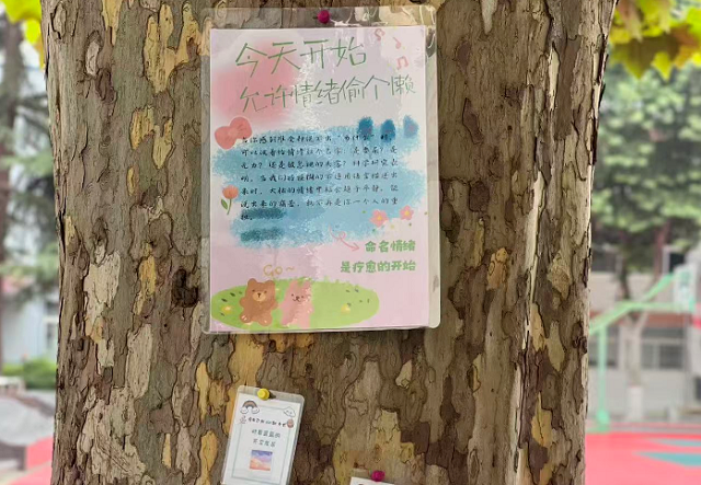 1779757252565605.png 环境浸润,打造暖心心育氛围.png