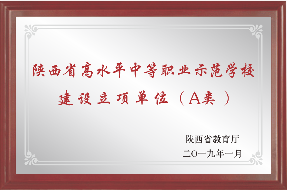 奖项荣誉