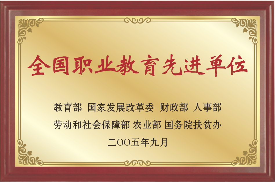 奖项荣誉